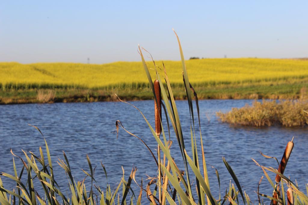 Agro Nad Stawem Villa Żukowo Dış mekan fotoğraf