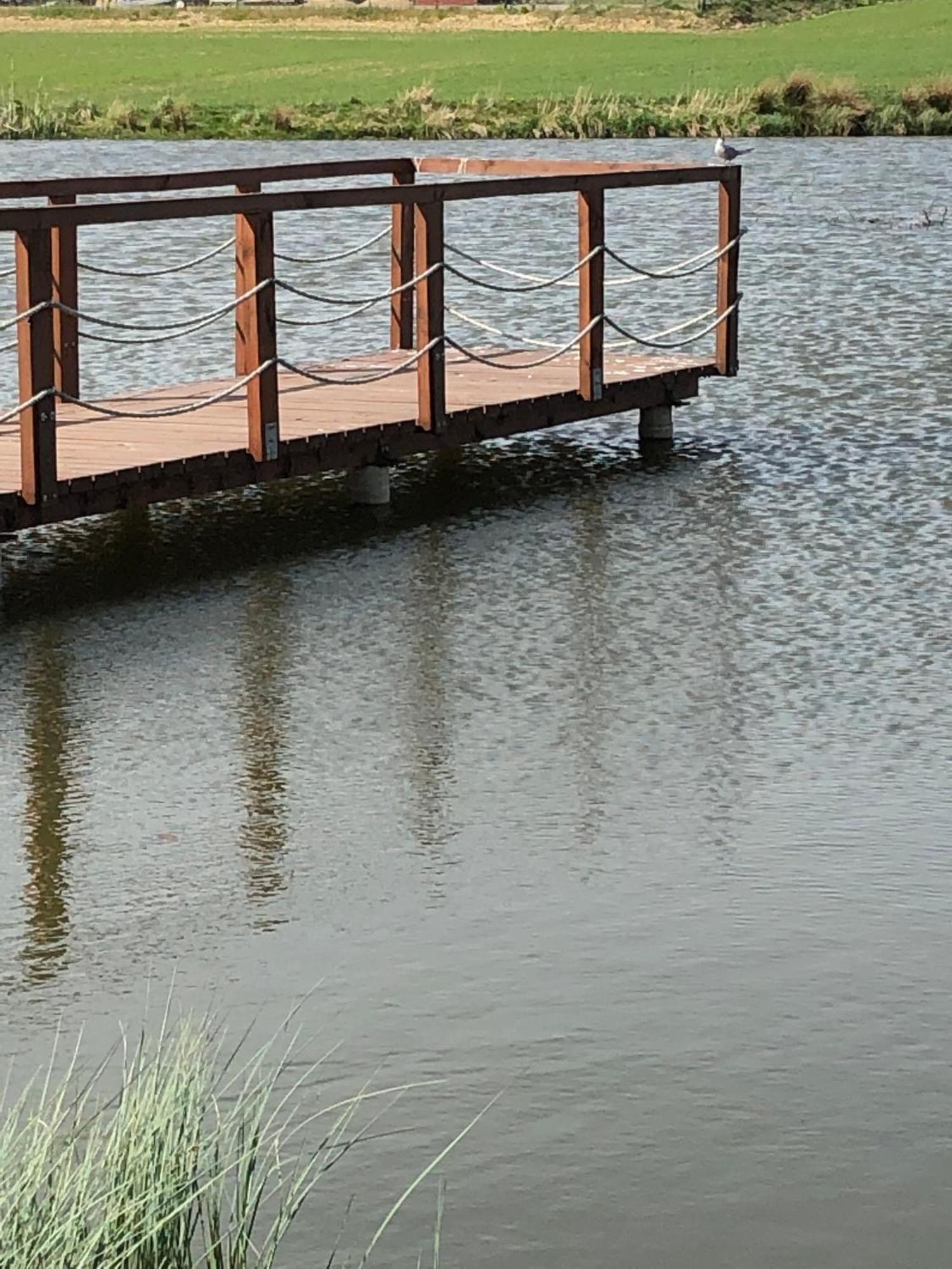 Agro Nad Stawem Villa Żukowo Dış mekan fotoğraf